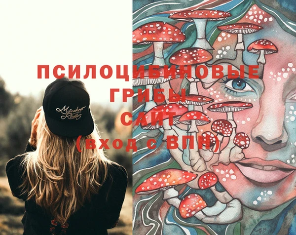 spice Заводоуковск
