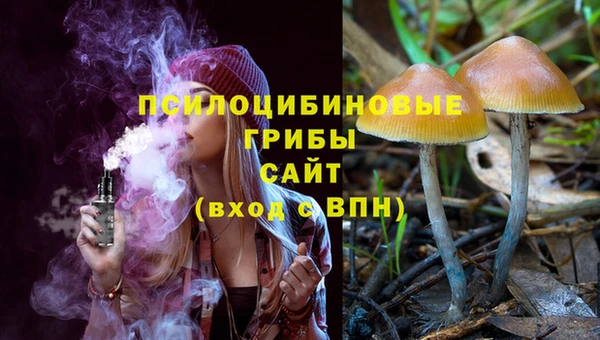 spice Заводоуковск