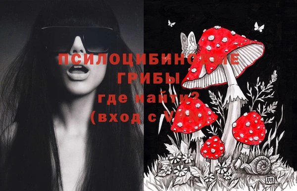 spice Заводоуковск