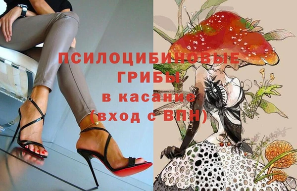 дживик Зерноград