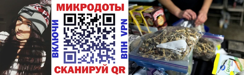 Псилоцибиновые грибы ЛСД Балей