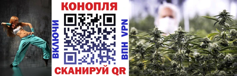 Купить закладки  Балей  МАРИХУАНА White Widow 